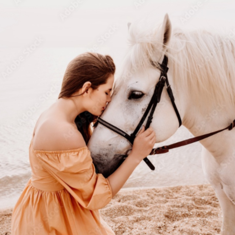 communication animale chien chat cheval